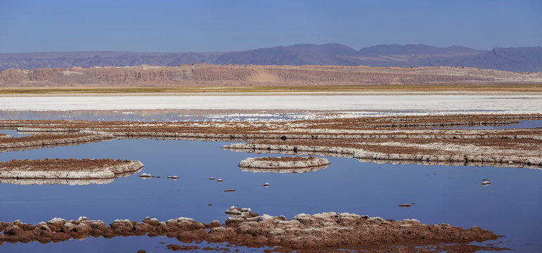 Tebenquinche lagoon, Atacama Desert, Chile