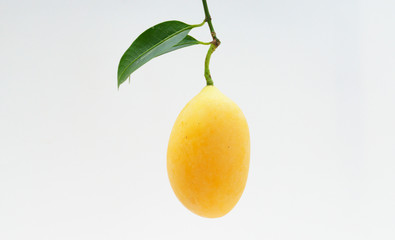 Marian plum or Plango thai fruit isolated on white background