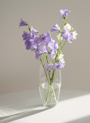 Flowers lilac bells in a glass vase stand on a white table in the interior