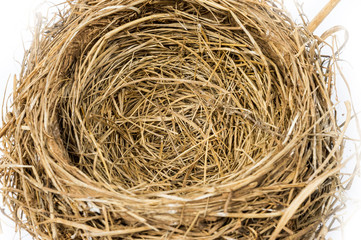 Horizontal close-up shot of an empty bird's nest on a white background.  Focus is in the center of the nest.