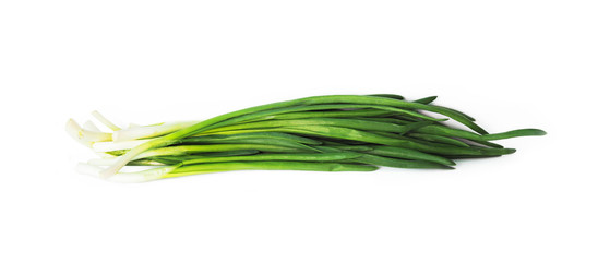 Fresh green onion set isolated on the white background. Leek, chives close-up.   Edible, green vegetable of the plant allium cepa, amaryllidaceae