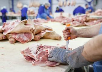 Cutting meat in slaughterhouse .