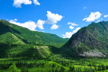 Mountain valley. Bright green grass and forest. Altai, Siberia, Russia