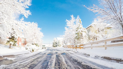 After Spring snow storm