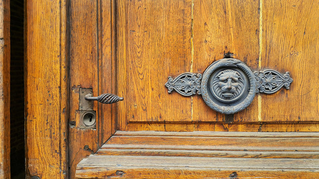 Vintage door with handle, keyhole and decorative lion head and snake ring knocker