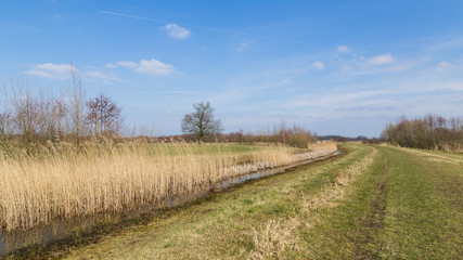 Fototapeta na wymiar Panorama with reed fields along a dike near Amersfoort in the Netherlands