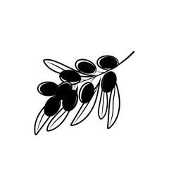 Berrys icon vector illustration