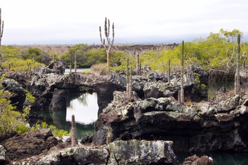Los Tuneles in Galapagos Islands
