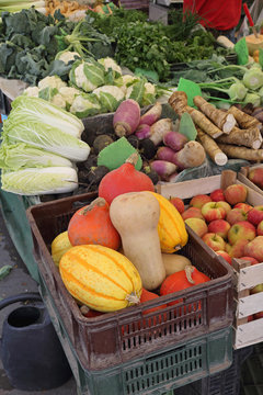 Gourds at Market