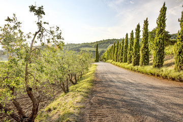 Summer road background of free space 