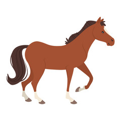 farm animal - horse