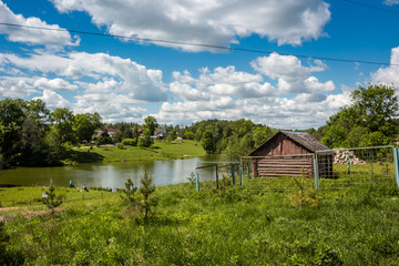 Rural landscape. Pond and an old cellar, Lyubitsy Village, Russia
