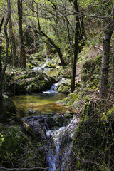 Obraz premium SAINT JEAN DU GARD