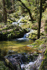 Fototapeta premium SAINT JEAN DU GARD