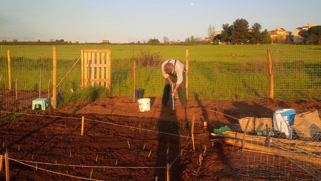 preparare il terreno per la semina