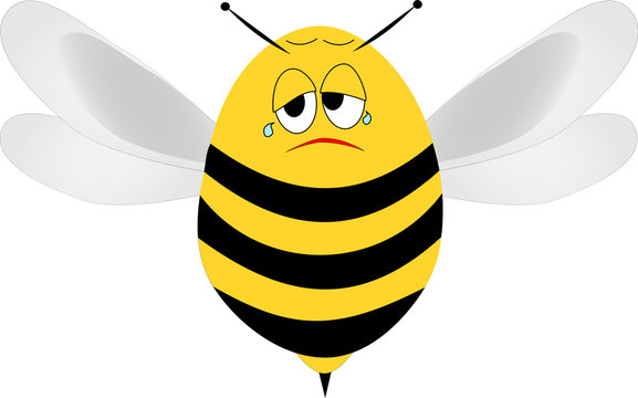 Traurige Biene Bienensterben