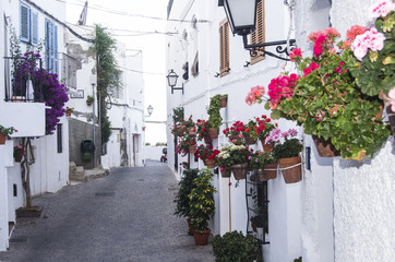 Fototapeta na wymiar typical andalusian street with flowerpots in Spain