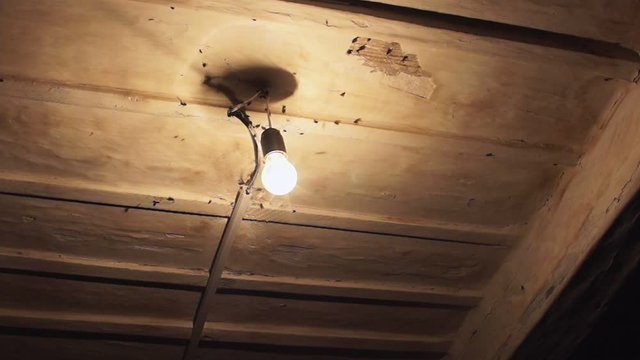 A lot of flies fly around the light bulb and beat against the ceiling of the old house.