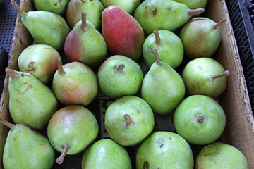 Green pears, green fruits