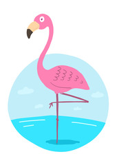 Flamingo