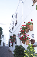  typical andalusian street with flowerpots in Spain