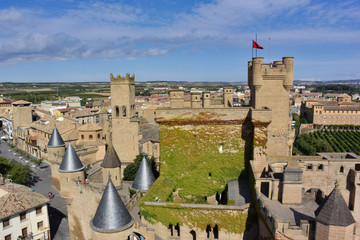 Castillo de Olite