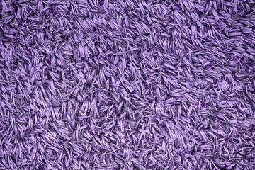 Football or soccer field, background for web site or mobile devices