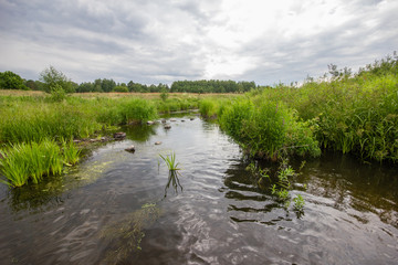 Summer river water landscape urals