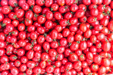 red tomatoes