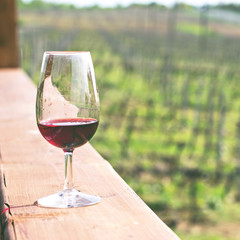 A glass of red wine  against a background of vineyards.