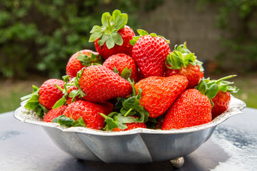 Ripped strawberries in the garden