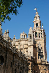 Fototapeta na wymiar Giralda de Sevilla