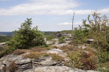 Rock stone surface on mountain top.