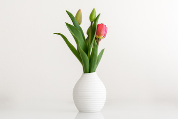 Tulpen in weisser Vase isoliert auf weiß