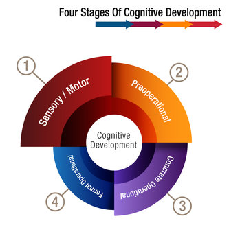 Four Stages of Cognitive Development