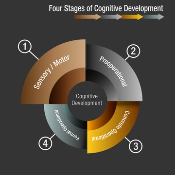 Four Stages of Cognitive Development