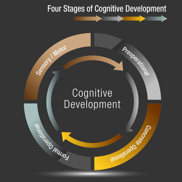 Four Stages of Cognitive Development