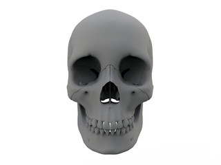 3D illustration - front view fragmented skull