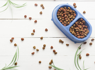 Pet food for dog or cat in bowl on wooden background top view flat lay copy space