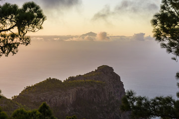 Tamadaba's Natural Park