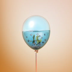 Silver fishes swimming in water minimal concept inside balloon. Flying balloon copy space idea with...