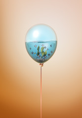 Minimal balloon concept with small silver angelfish fishes swimming inside. Angelfish inside balloon idea on orange background