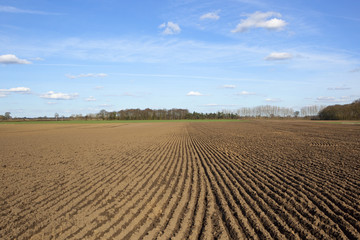 patterned plowed soil in springtime