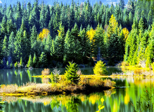 Green Yellow Island Reflection Gold Lake Autumn Snoqualme Pass Washington