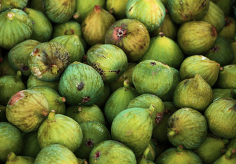 Fresh healthy figs background