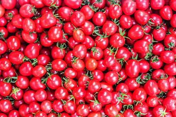 red tomatoes