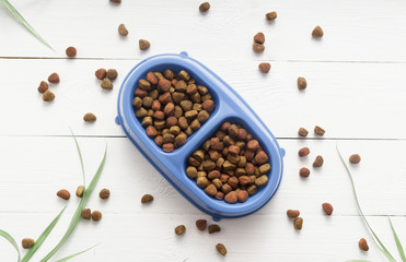 Pet food for dog or cat in bowl on wooden background top view flat lay