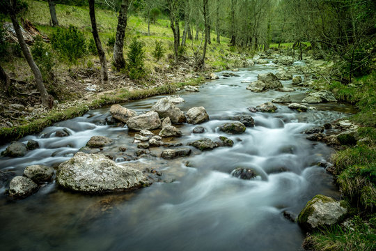 une rivière avec des rochers au milieu et des arbres au bord