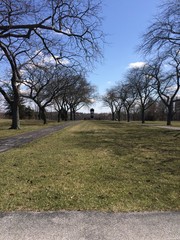Tree lined path to monument