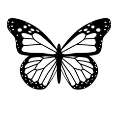 black and white vector butterfly